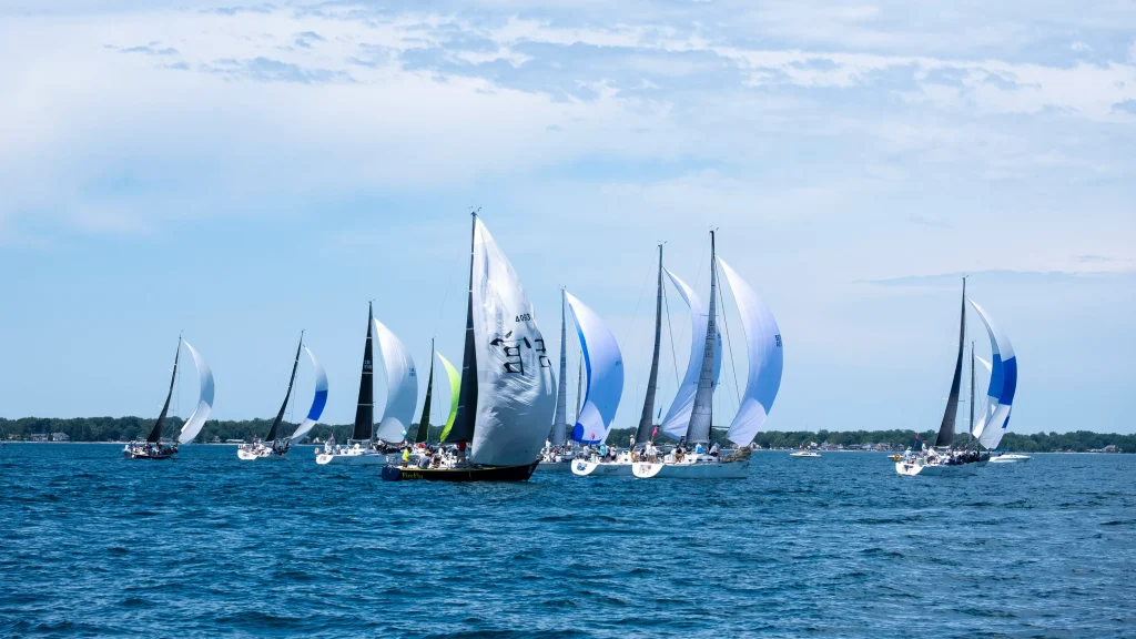 generic sailboat race pic